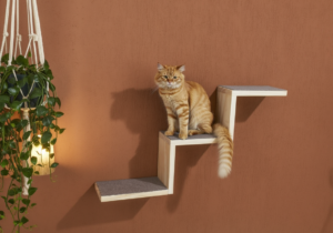 Escalera continua 25 cm 3 peldaños