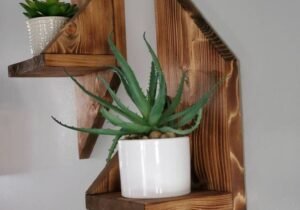 Estantes Aéreos para Plantas